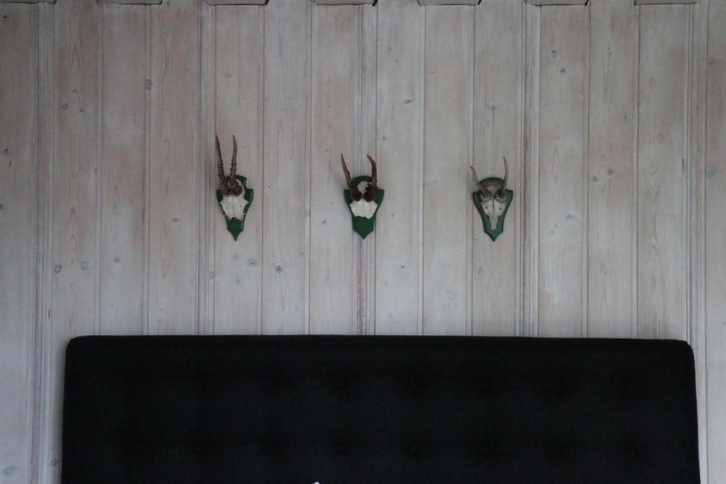 Landhotel Villa Foresta Braunlage Εξωτερικό φωτογραφία