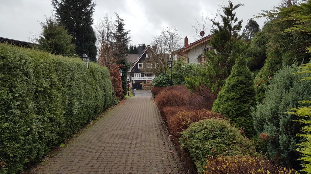 Landhotel Villa Foresta Braunlage Εξωτερικό φωτογραφία